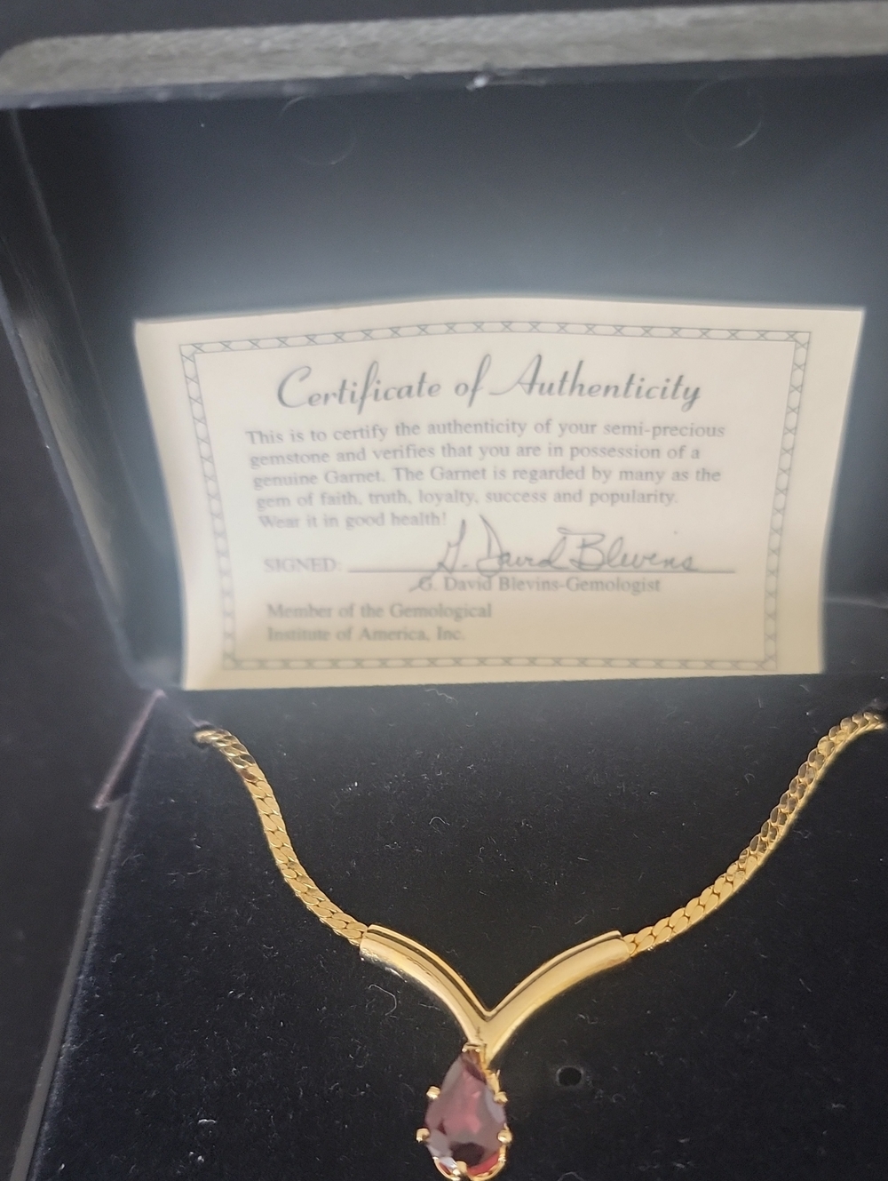 Gold-Tone V Pendant Necklace with Garnet Teardrop